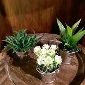 Set of 3 Plants in Metal Planters